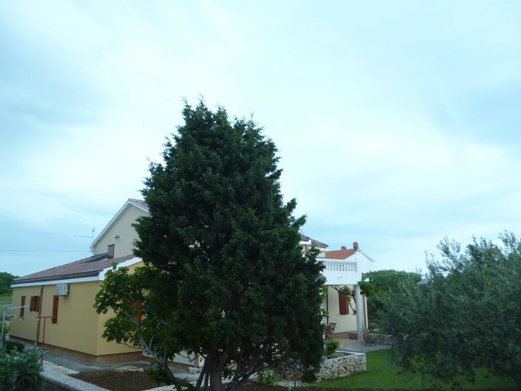 Bed&Breakfast Vanni Privlaka  Exterior photo